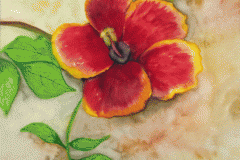 Blume_Wilma